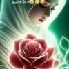 intanhasana207