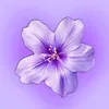 yumi123oo