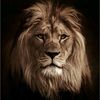 hassan.mouzam.9999