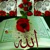 user2592144973424