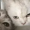 luvsoccte