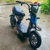 ng_hoang_thien011