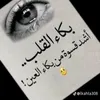 user1801162546538