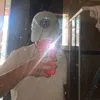 wsz_ws2
