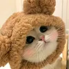 nyphorosonyt