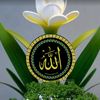 user3306225552637
