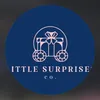 little_surprises_x