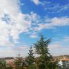user24._13