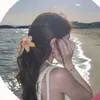 hawraa_6x2