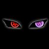 zay.anjay5
