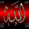 user18467760538127