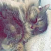 .lila.mae_123