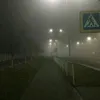 it.nearby