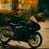 tanveer.evan440