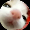 embehui_