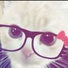 jackiee9373