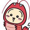 kawaaaaaaaaaaaaa1