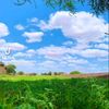 user7807530113253