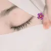 rihabalah22