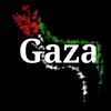 hasnaa.metwaly