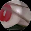 6husb