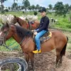 lexzin23