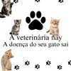 catss_worldss02680