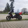 oscar_08080