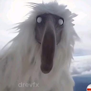 jev2cool