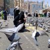 al_rin6
