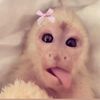 dollyhrtz_cloud
