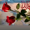 user3081409539374