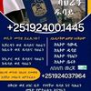 travel.agency554