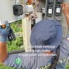 kabel.konslet5