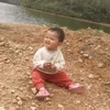 le.linh222