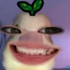 yeuanhluan_