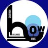 Holistic Wellness Labs