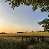amypriv_x1
