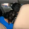 v__j0x7