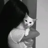 lea_2449884