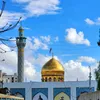 a.ali341