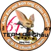 dang.khoi.cao.finnick