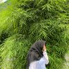krinnabalqismillieony_