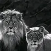 pyawe.sherakan0