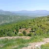 nazhadpk
