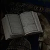heart_for_quran1