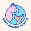 Animal Rescue🐾🐾