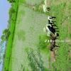amirzubair67