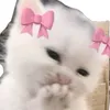 r02455