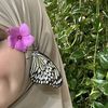 ro_ali647492